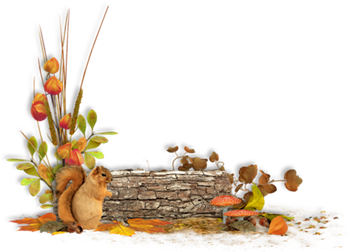 őszi állatok_176.png